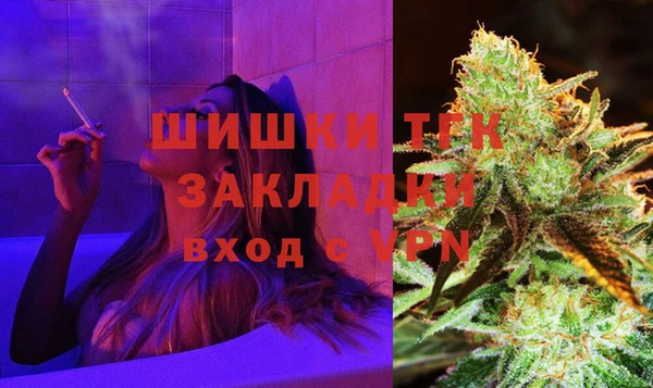 молекула духа Балахна