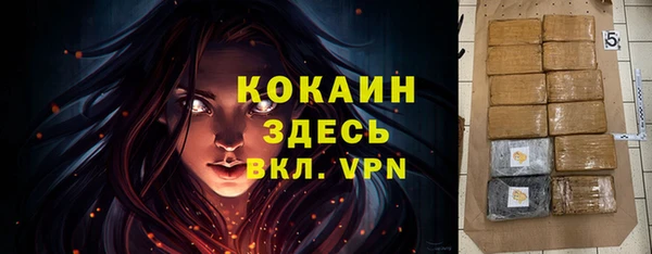 молекула духа Балахна