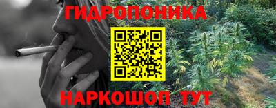 дурь Кимры