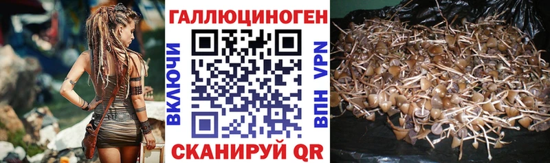 mega как зайти  Кирово-Чепецк  Псилоцибиновые грибы Cubensis  наркошоп 