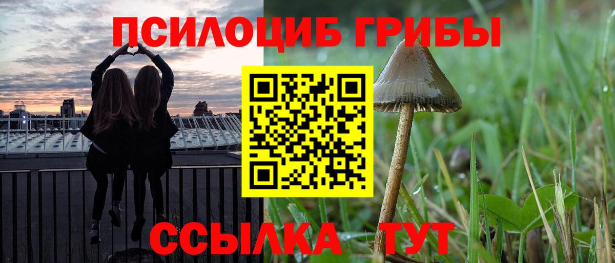 Псилоцибиновые грибы MAGIC MUSHROOMS  Галлюциногенные грибы Psilocybe  Вход с VPN  Кирово-Чепецк 