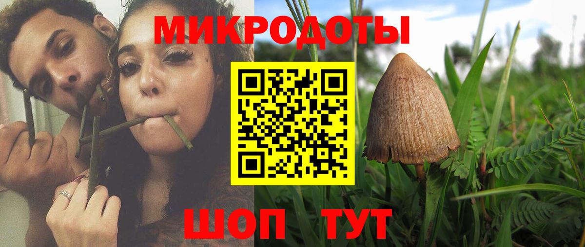 Галлюциногенные грибы Cubensis Кирово-Чепецк